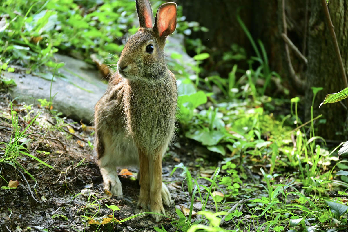 ���� �� ������� ����� �������  �� PhotoGeek.ru #�������� ���