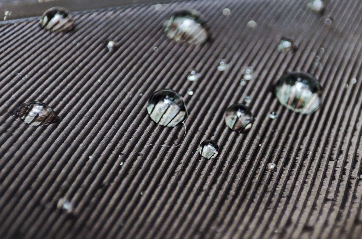 ����� �� ���� ������� ����� �������  �� PhotoGeek.ru #�����