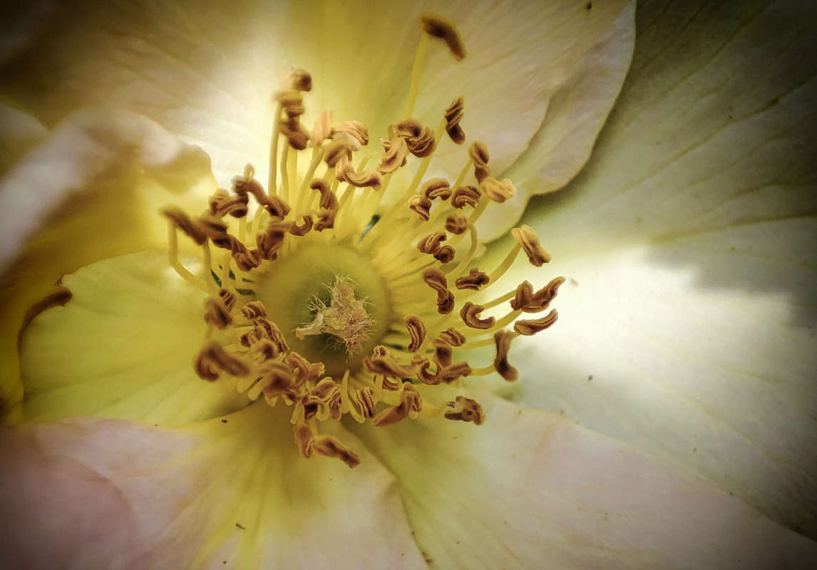 ���������� ����� �������  �� PhotoGeek.ru #����� #������ ��� �������