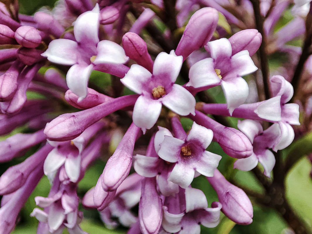 ������� ����� �������  �� PhotoGeek.ru #�����