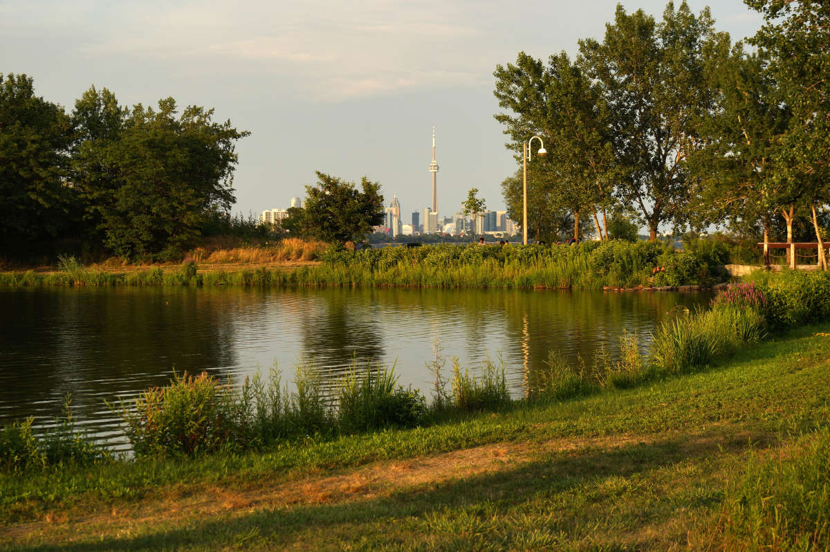 ������� �� ������� ����� �������  �� PhotoGeek.ru #������ ��� �������