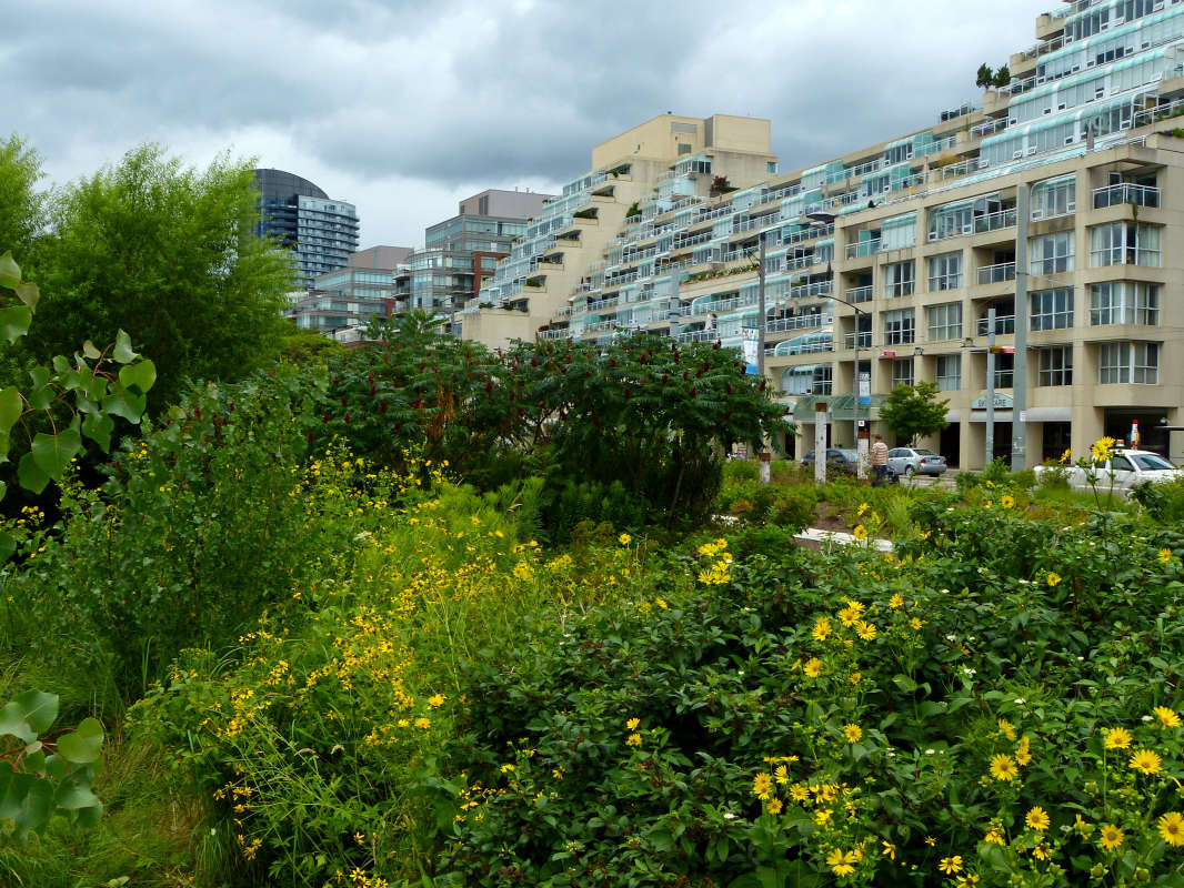 � ������ ������� ����� �������  �� PhotoGeek.ru #�����������