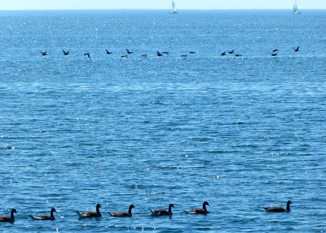 ������� ����� �������  �� PhotoGeek.ru #�������� ��� #������ ��� �������