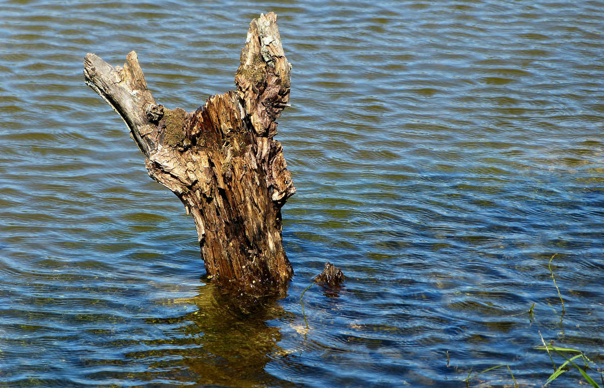 ������� ����� �������  �� PhotoGeek.ru #�������� ����������