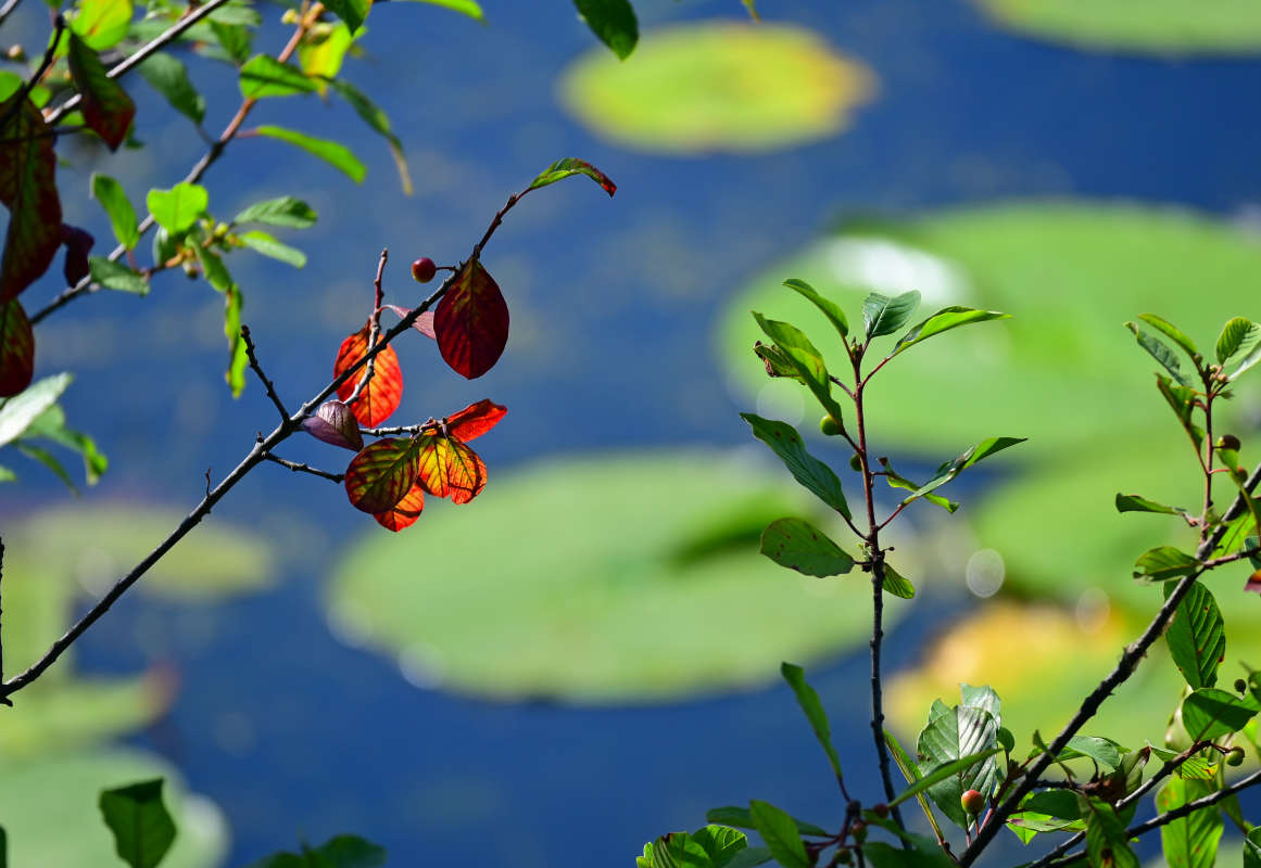 ������� � ����� ����� �������  �� PhotoGeek.ru #������ ��� �������