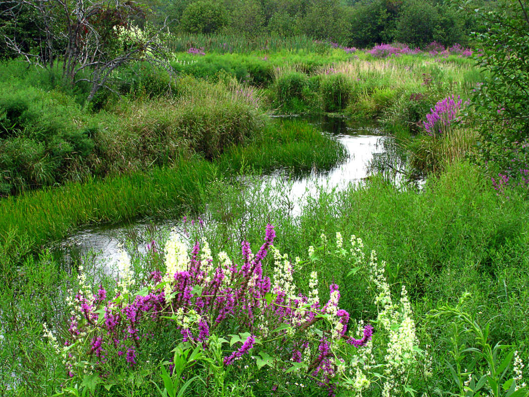 ��������� ����� �������  �� PhotoGeek.ru #������ ��� �������