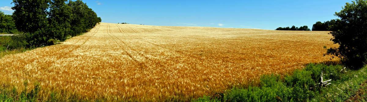 ������ ����� �������  �� PhotoGeek.ru #������ ��� �������