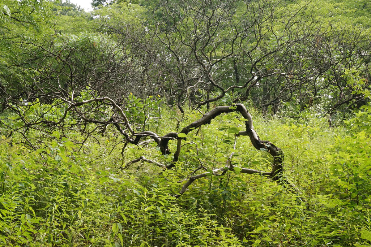 ������� ����� �������  �� PhotoGeek.ru #������ ��� �������