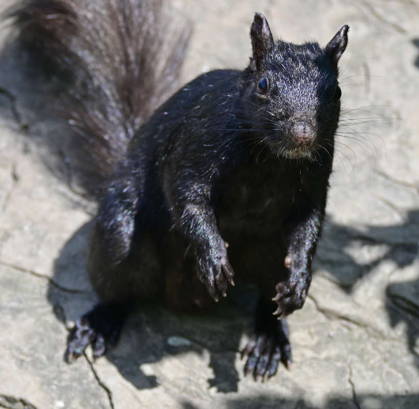 ��������� ���������� ����� �������  �� PhotoGeek.ru #�������� ����������