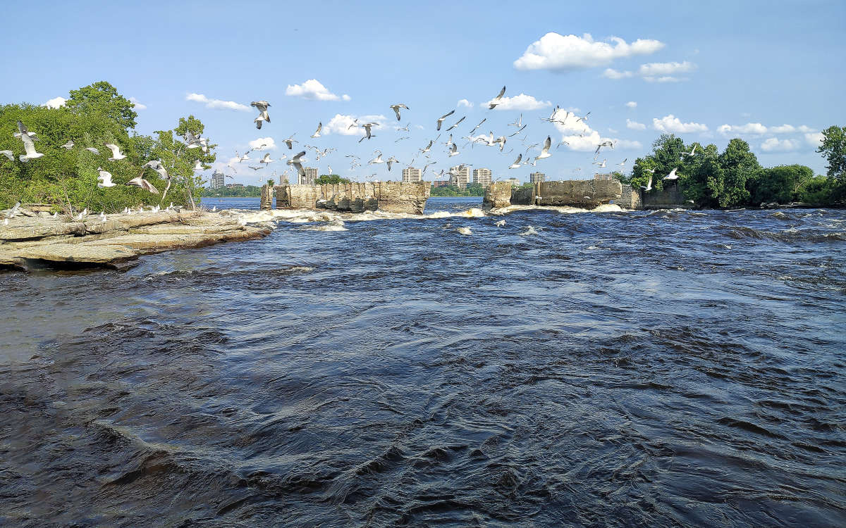 �� �������  ����� ����� ������� ����� �������  �� PhotoGeek.ru #�������� ��� #������ ��� �������