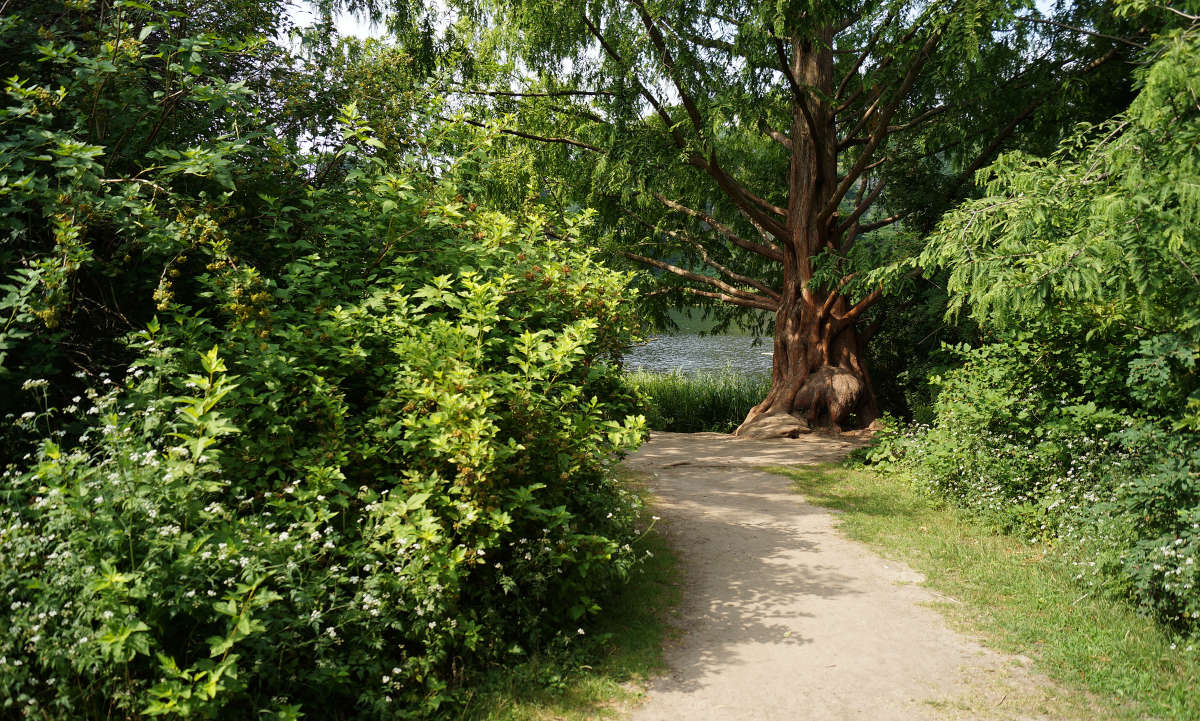 ���� ����� �����- ��������� ����� �������  �� PhotoGeek.ru #������ ��� �������