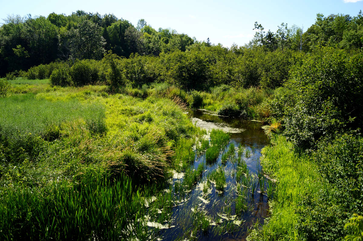 ���� � ������� ����� �������  �� PhotoGeek.ru #������ ��� �������