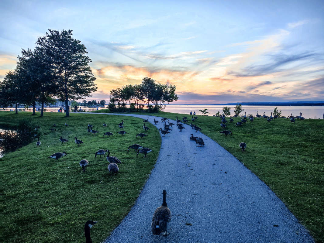 ������ ������� ���� �������� ����� �������  �� PhotoGeek.ru #�������� ��� #������ ��� �������