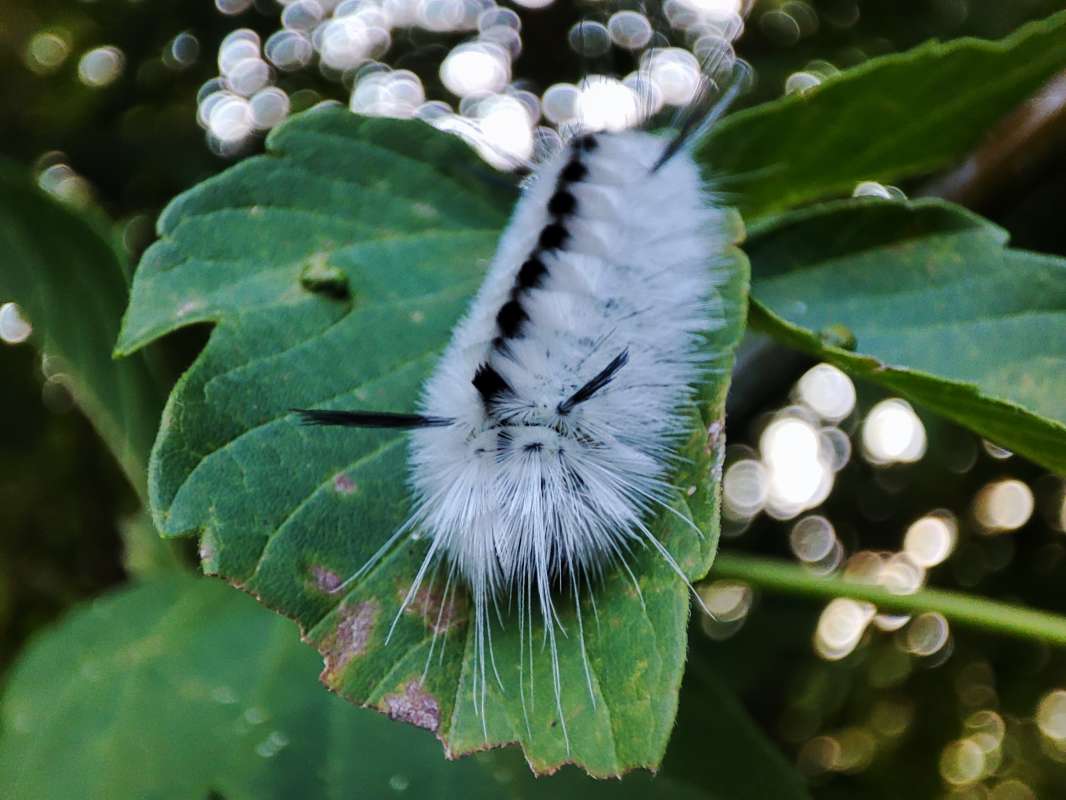 ����-��� ����� �������  �� PhotoGeek.ru #�������� ���