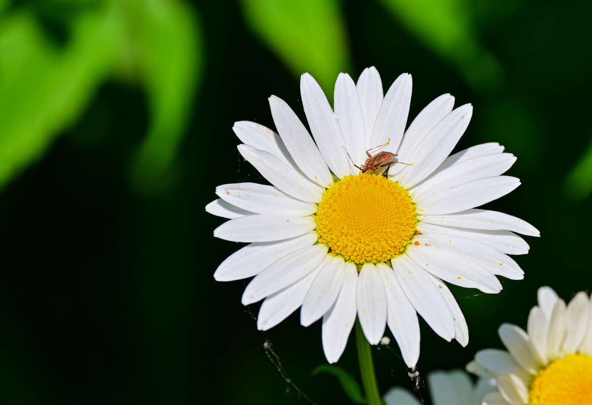 ���������� ������ ����� �������  �� PhotoGeek.ru #������ ��� �������