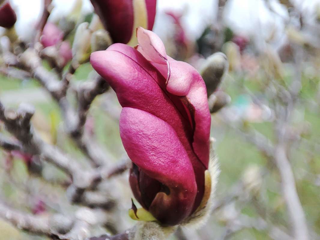 � ������������ ����� �������  �� PhotoGeek.ru #������ ��� �������