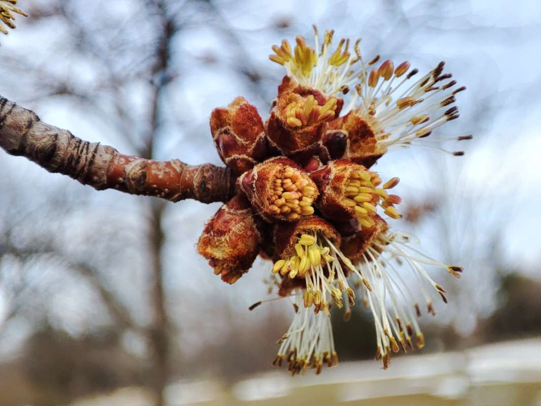 ������ ����������� ����� �������  �� PhotoGeek.ru #������ ��� �������