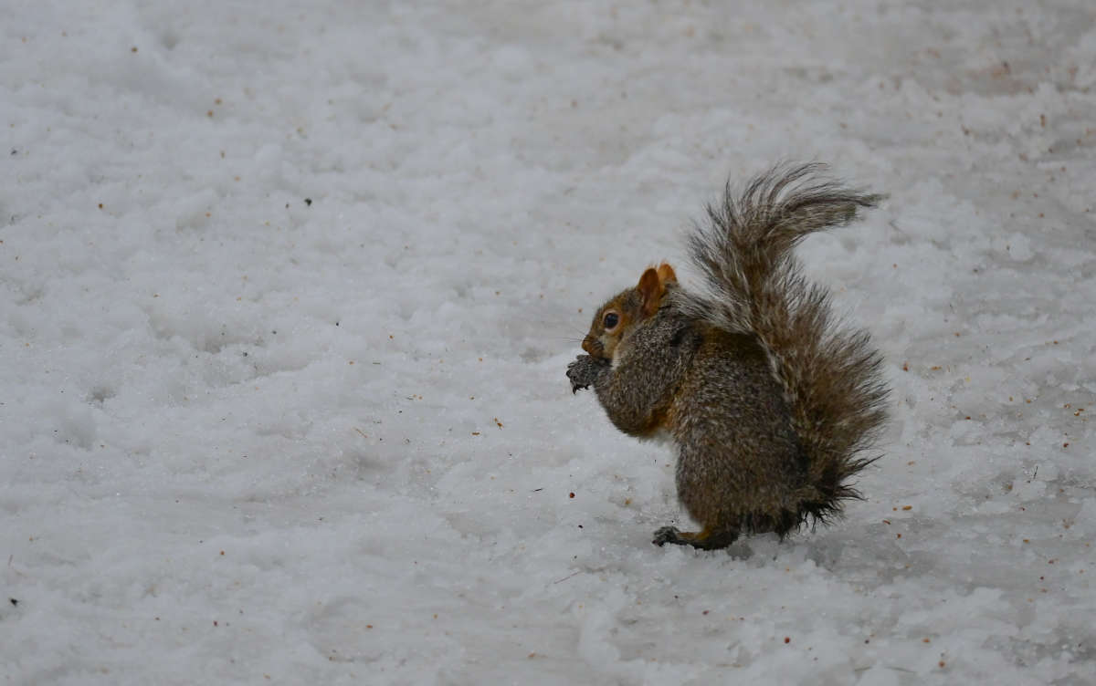 ������� ����� �������  �� PhotoGeek.ru #�������� ���