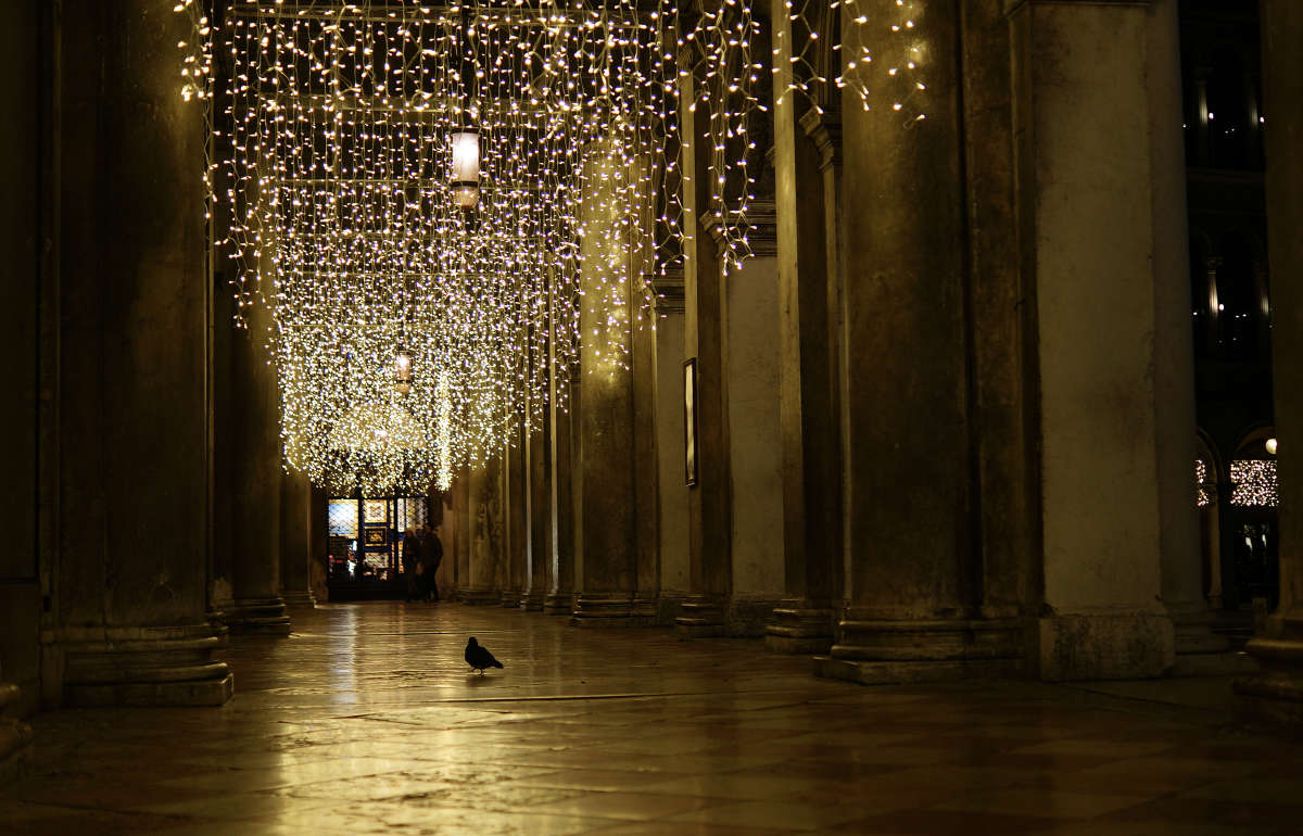 ����� ��������� ����� �������  �� PhotoGeek.ru #�����������