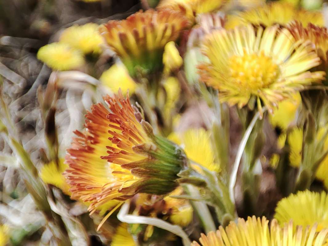 ��������� �� ����� �������  �� PhotoGeek.ru #������ ��� �������