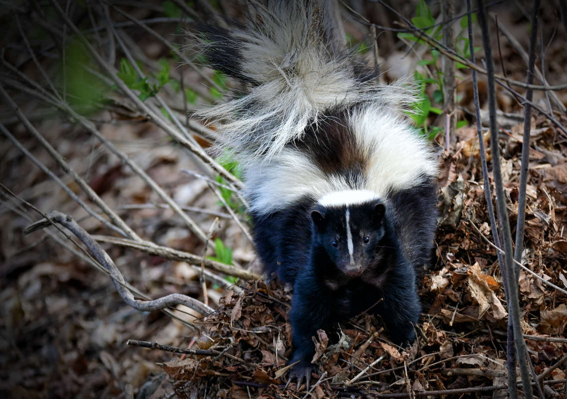 �������� ���������� ����� �������  �� PhotoGeek.ru #�������� ���