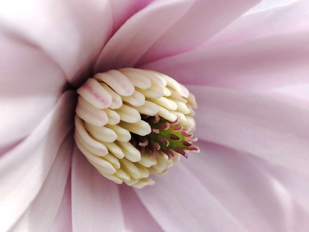 ���������� ����� �������  �� PhotoGeek.ru #������ ��� �������