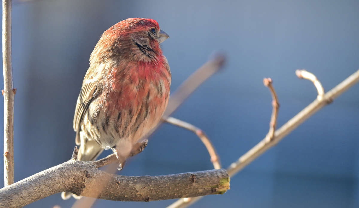 �� ������� �� ����� ����� �������  �� PhotoGeek.ru #�������� ���