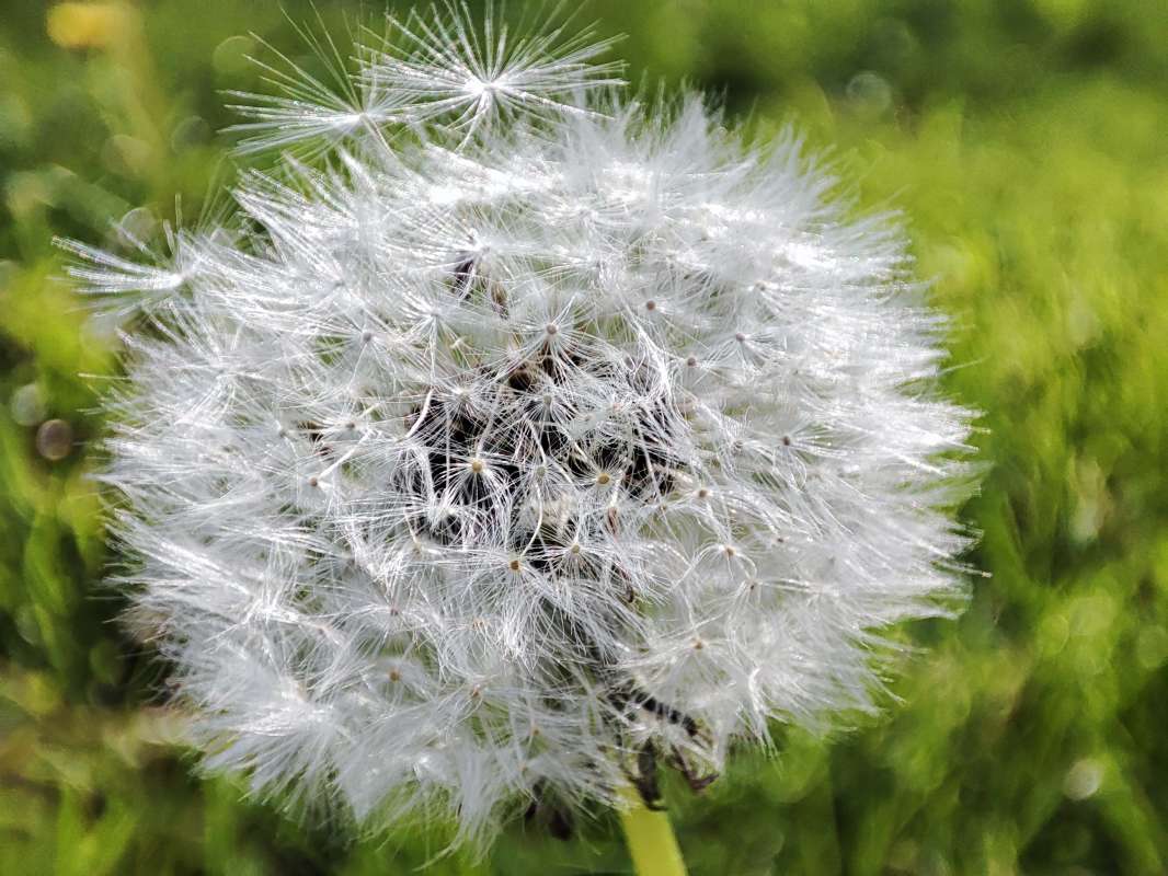 ������� �������� ����� �������  �� PhotoGeek.ru #������ ��� �������