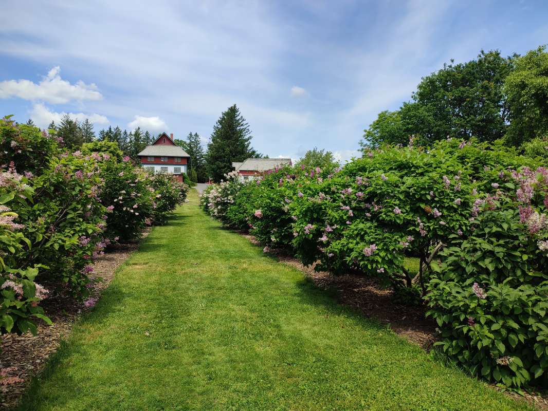 ����� ����������� ����� �������  �� PhotoGeek.ru #�������� ����������