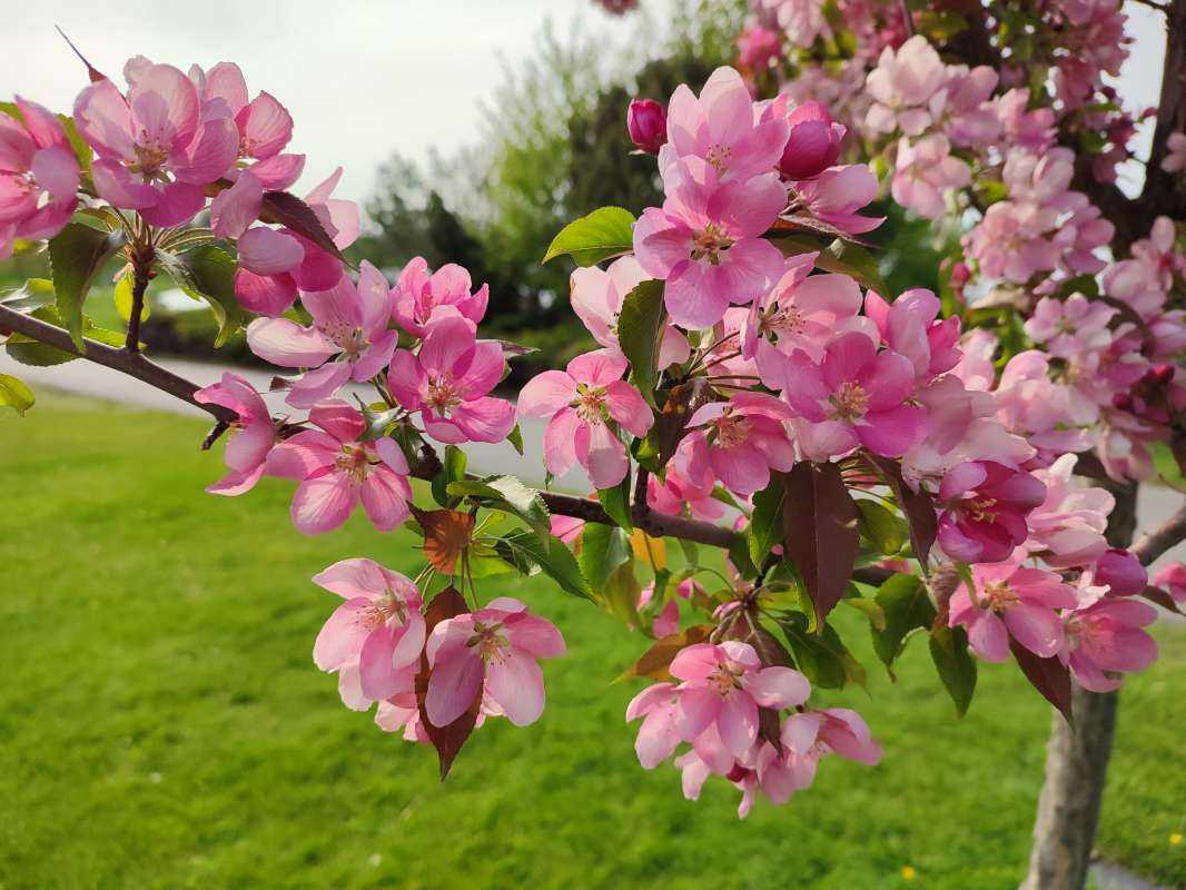 � �������� ������ ����� �������  �� PhotoGeek.ru #������ ��� �������