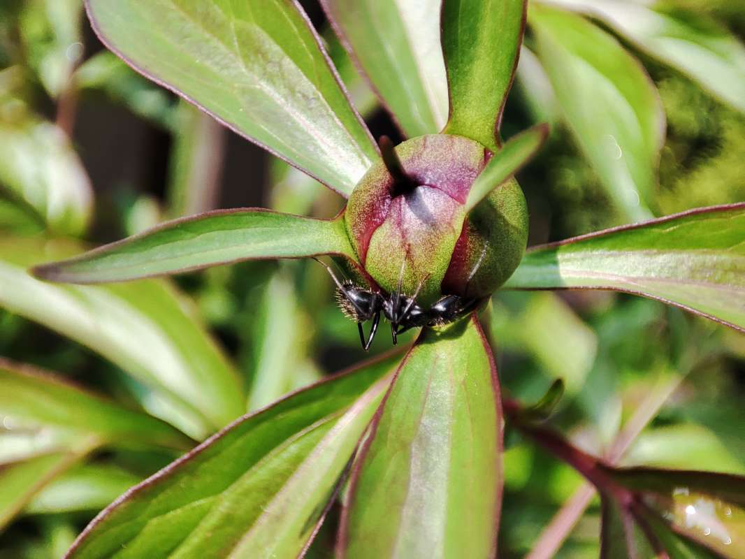 ���������� ����� ����� �������  �� PhotoGeek.ru #�������� ��� #������ ��� �������