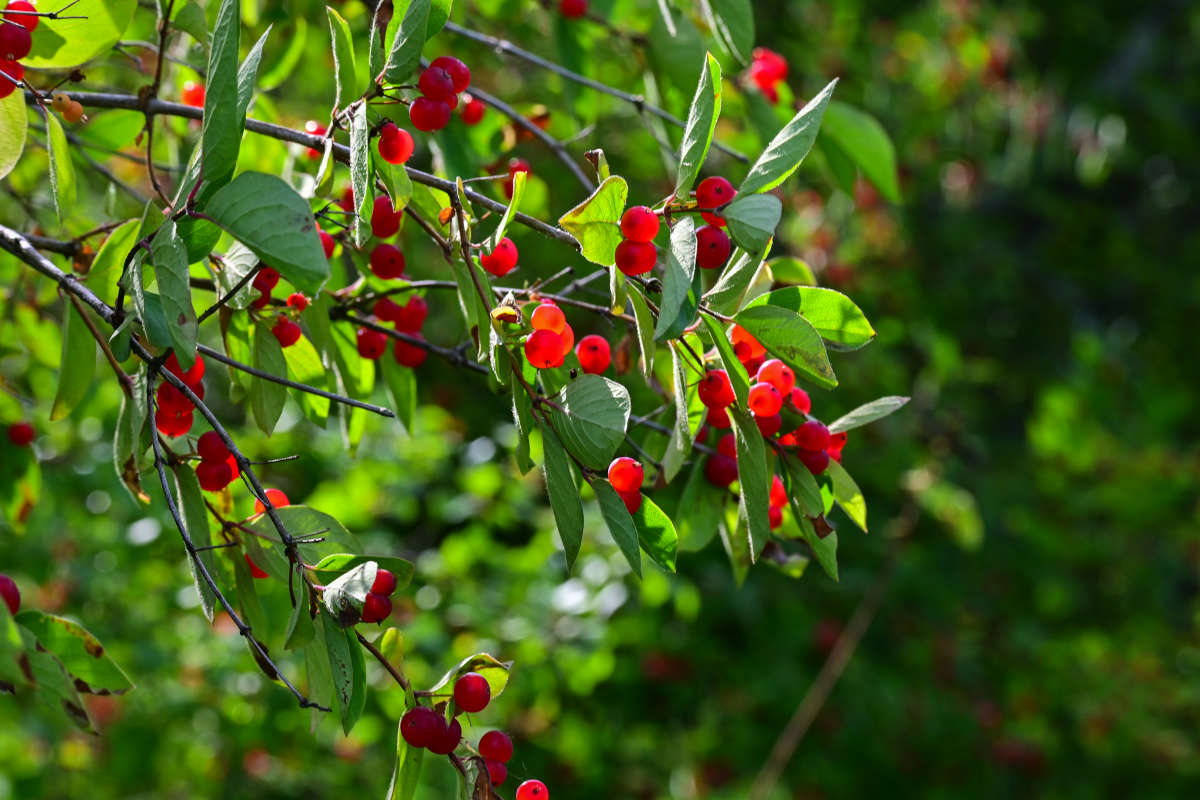 ����� ����� �������  �� PhotoGeek.ru #������ ��� �������