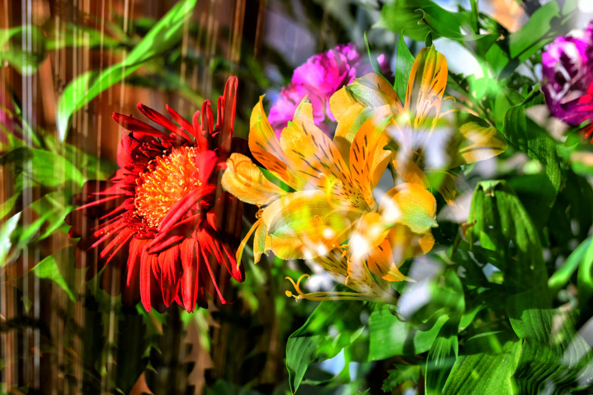 ������� ����� �������  �� PhotoGeek.ru #�������� ����������