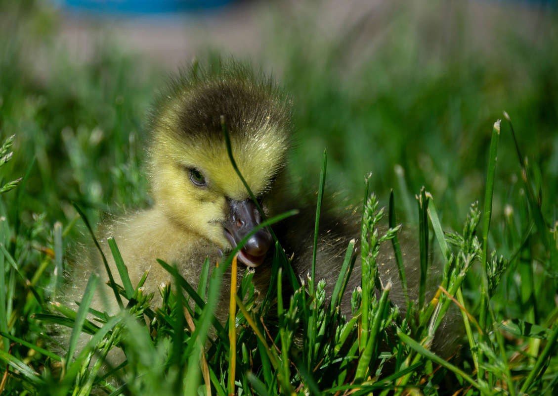 ���� ������ ����� �������  �� PhotoGeek.ru #�������� ���