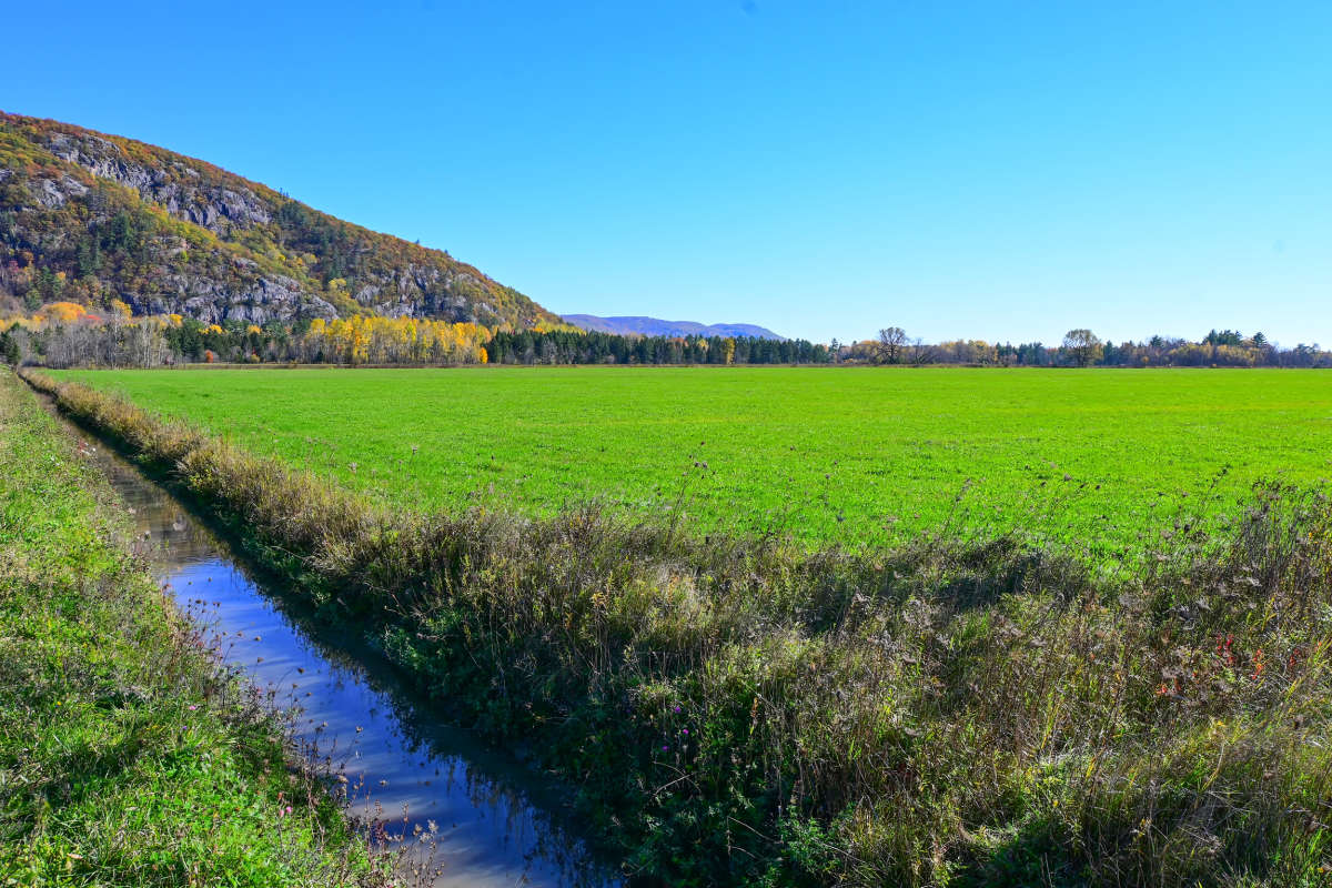 ���� ����� �������  �� PhotoGeek.ru #������ ��� �������