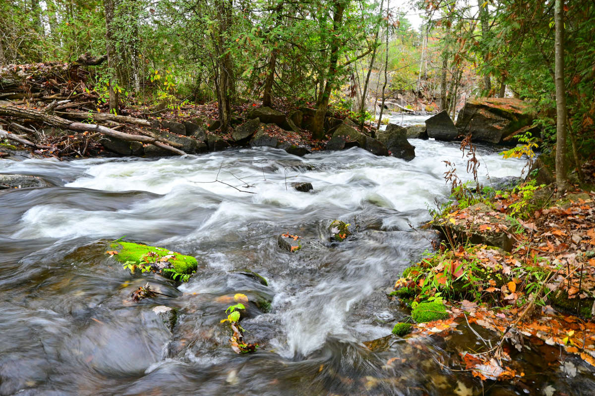 �� ���� � ���� ����� �������  �� PhotoGeek.ru #������ ��� �������