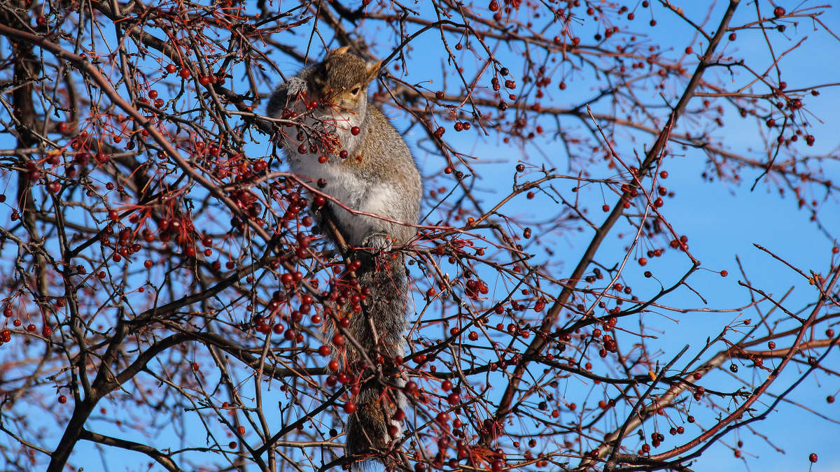 ������� ����� �������? ����� �������  �� PhotoGeek.ru #�������� ���
