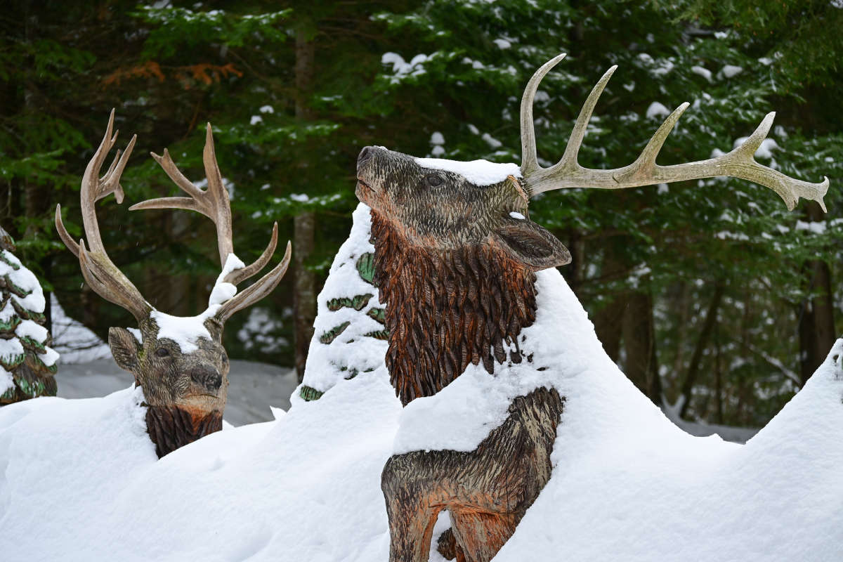 ������ ��� ����� �������  �� PhotoGeek.ru #�������� ����������