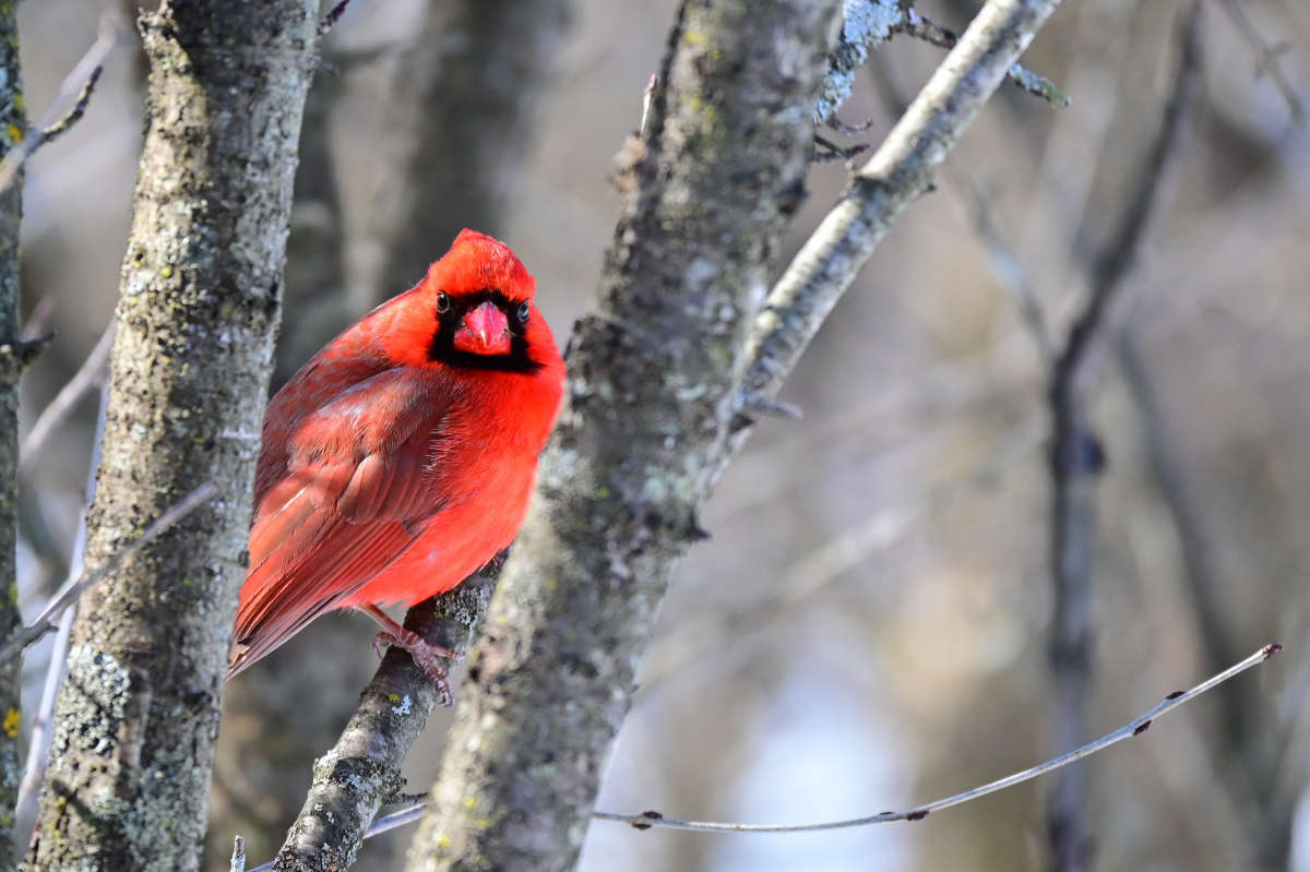 ���������� ����� �������  �� PhotoGeek.ru #�������� ���