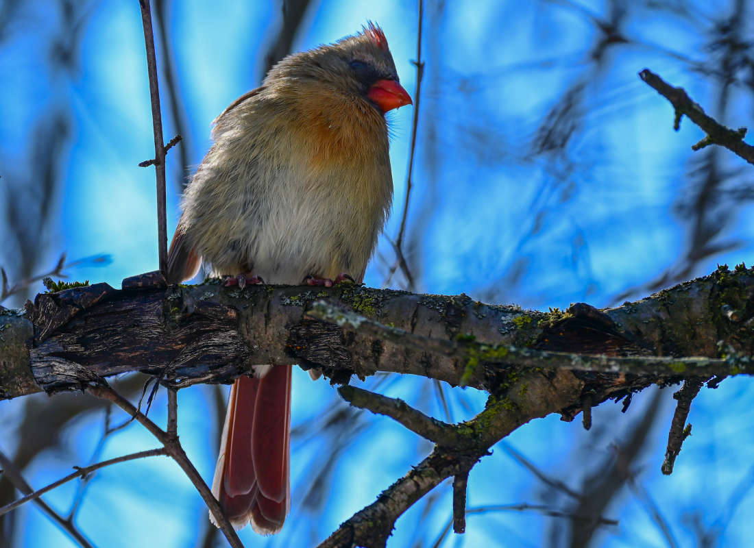 ������� ��������� ����� �������  �� PhotoGeek.ru #�������� ���