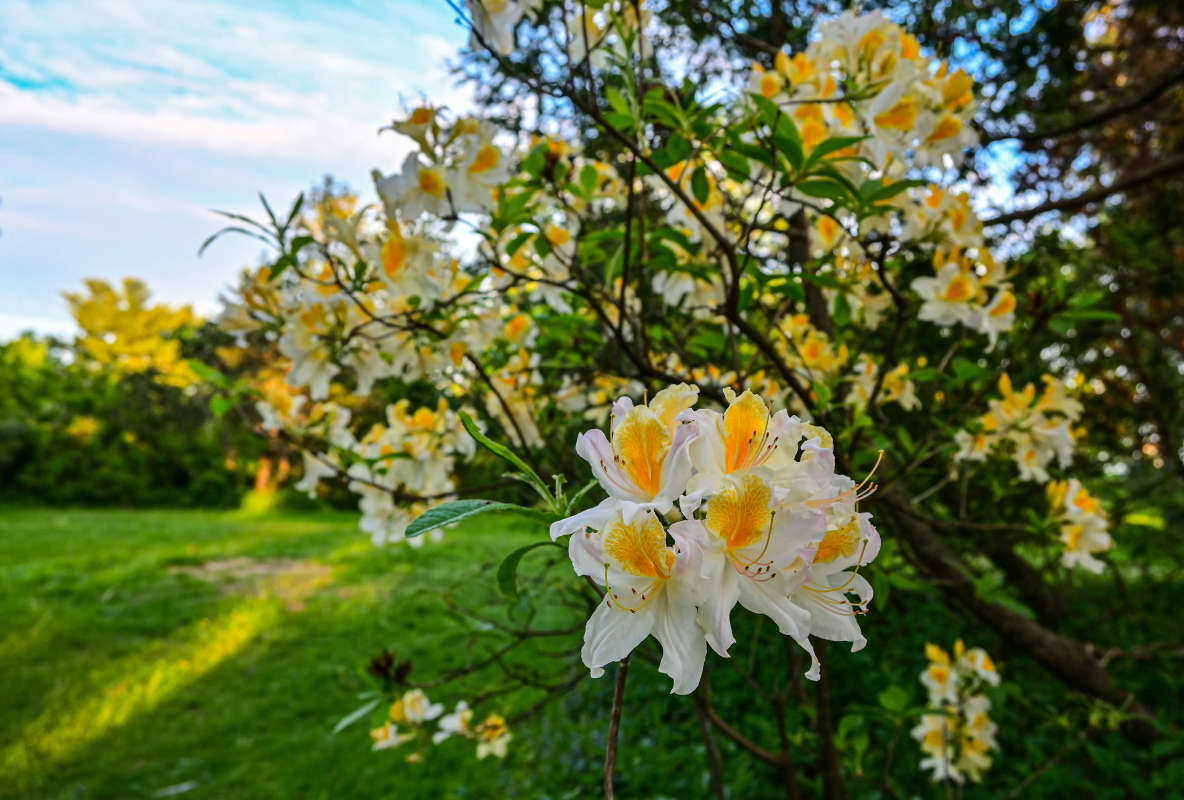 ��������� ����� �������  �� PhotoGeek.ru #������ ��� �������