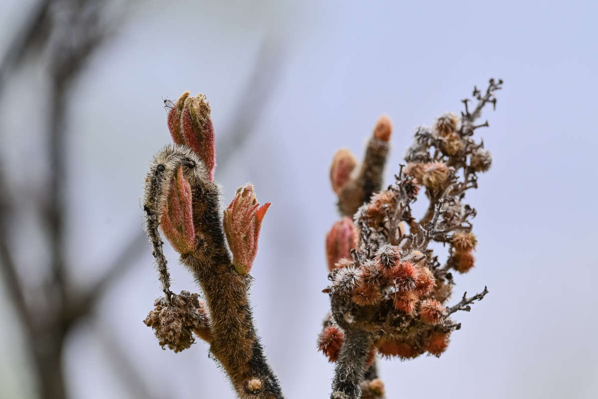 ����� ����� �������  �� PhotoGeek.ru #������ ��� �������