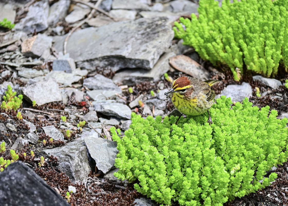 ���-��� ������� ����� �������  �� PhotoGeek.ru #�������� ���