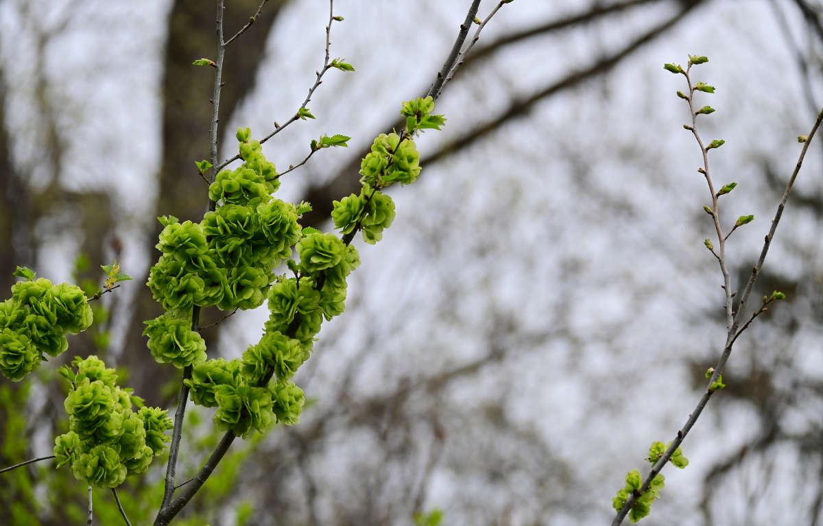 �������� ����� �������  �� PhotoGeek.ru #������ ��� �������