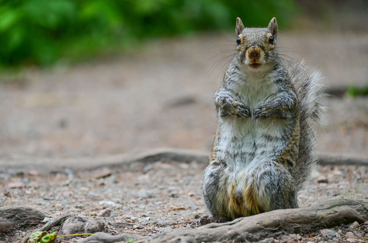 ������� ����� �������  �� PhotoGeek.ru #�������� ���