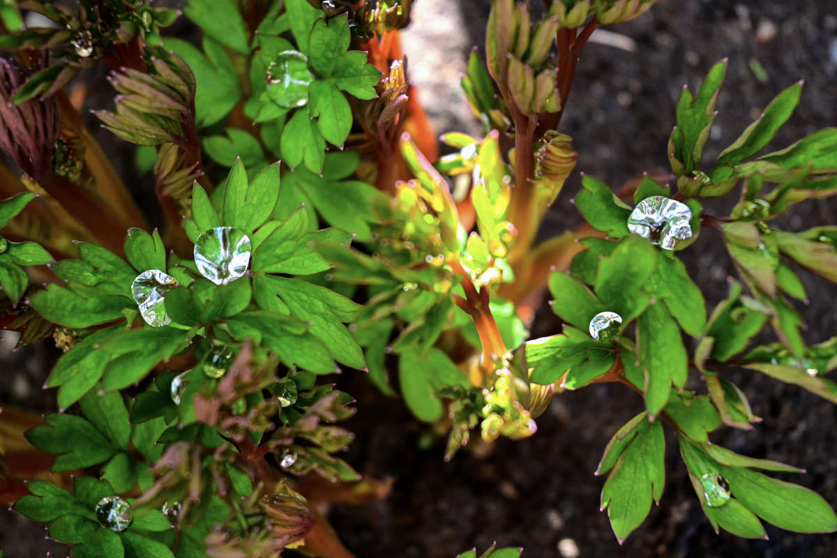 ����� � ����� ����� �������  �� PhotoGeek.ru #������ ��� �������