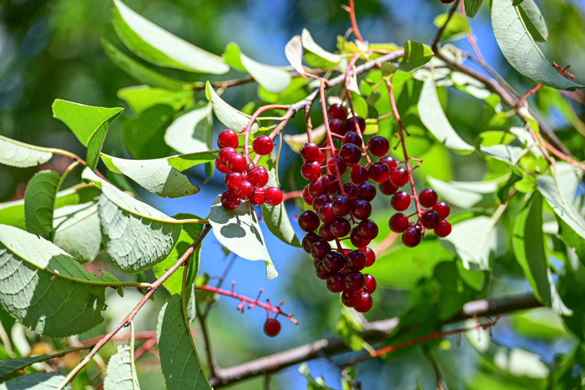 ����� ��������� ����� �������  �� PhotoGeek.ru #������ ��� �������