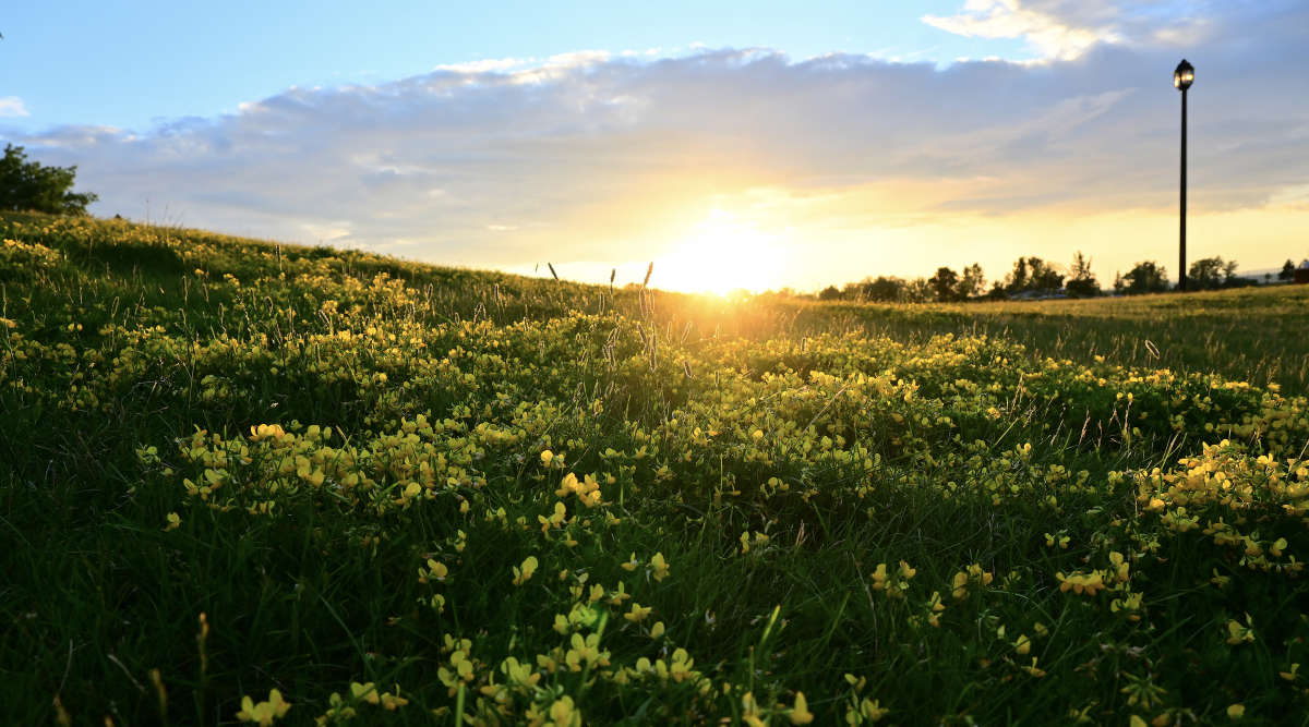 ������� ����� �������  �� PhotoGeek.ru #������ ��� �������