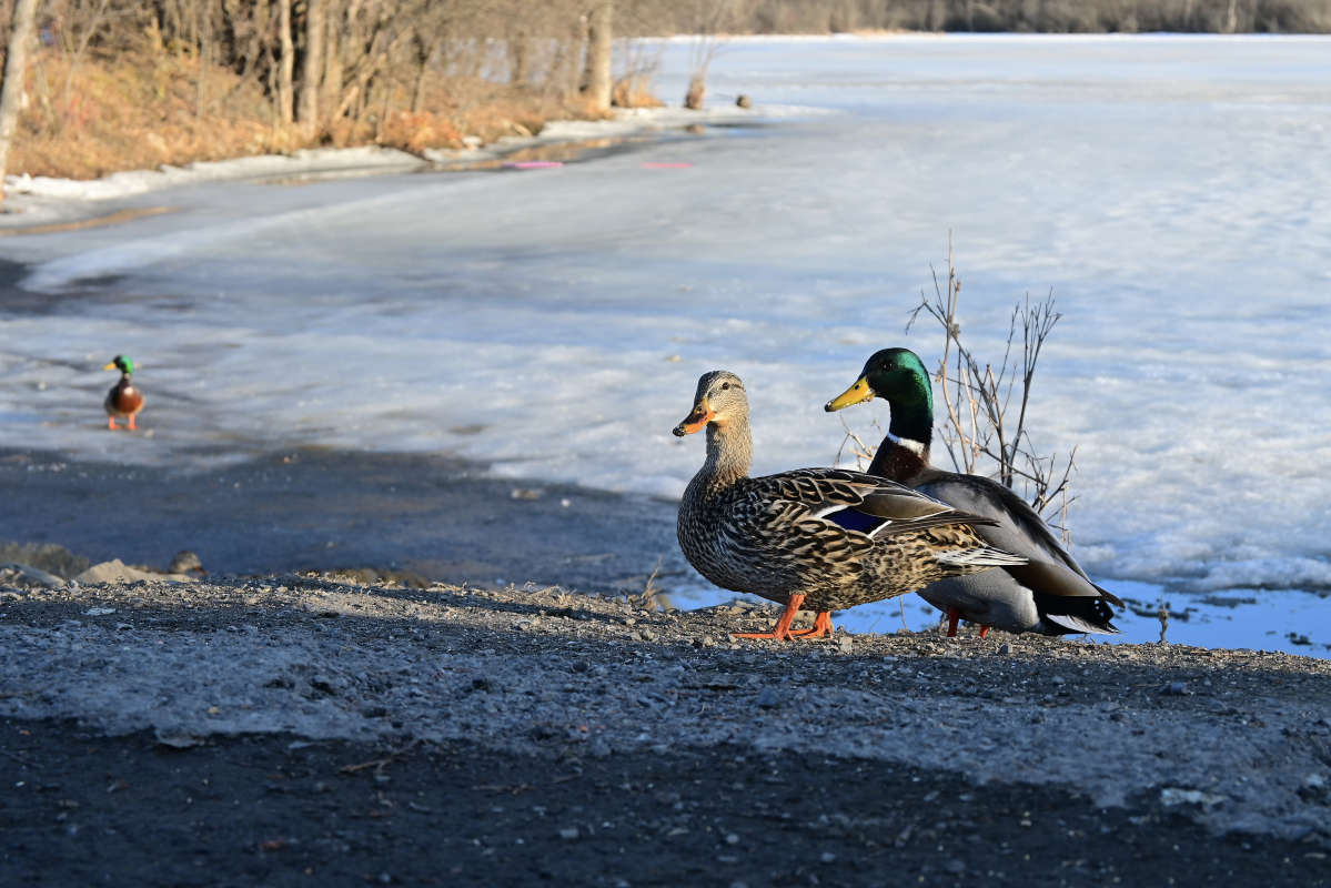 ��� � ������� ����� ����� �������  �� PhotoGeek.ru #�������� ���