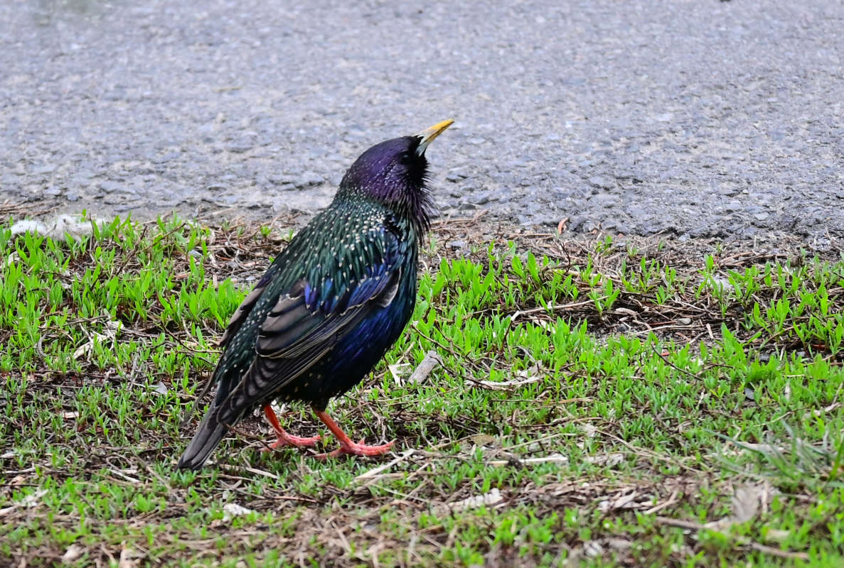 ���������� ����� �������  �� PhotoGeek.ru #�������� ���